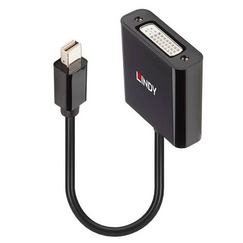 LINDY Monitor Adapter [1x Mini-DisplayPort Stecker - 1x DVI] 41736 0.16 m