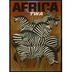 POSTER Zebras In Afrika A3 Rahmenlos