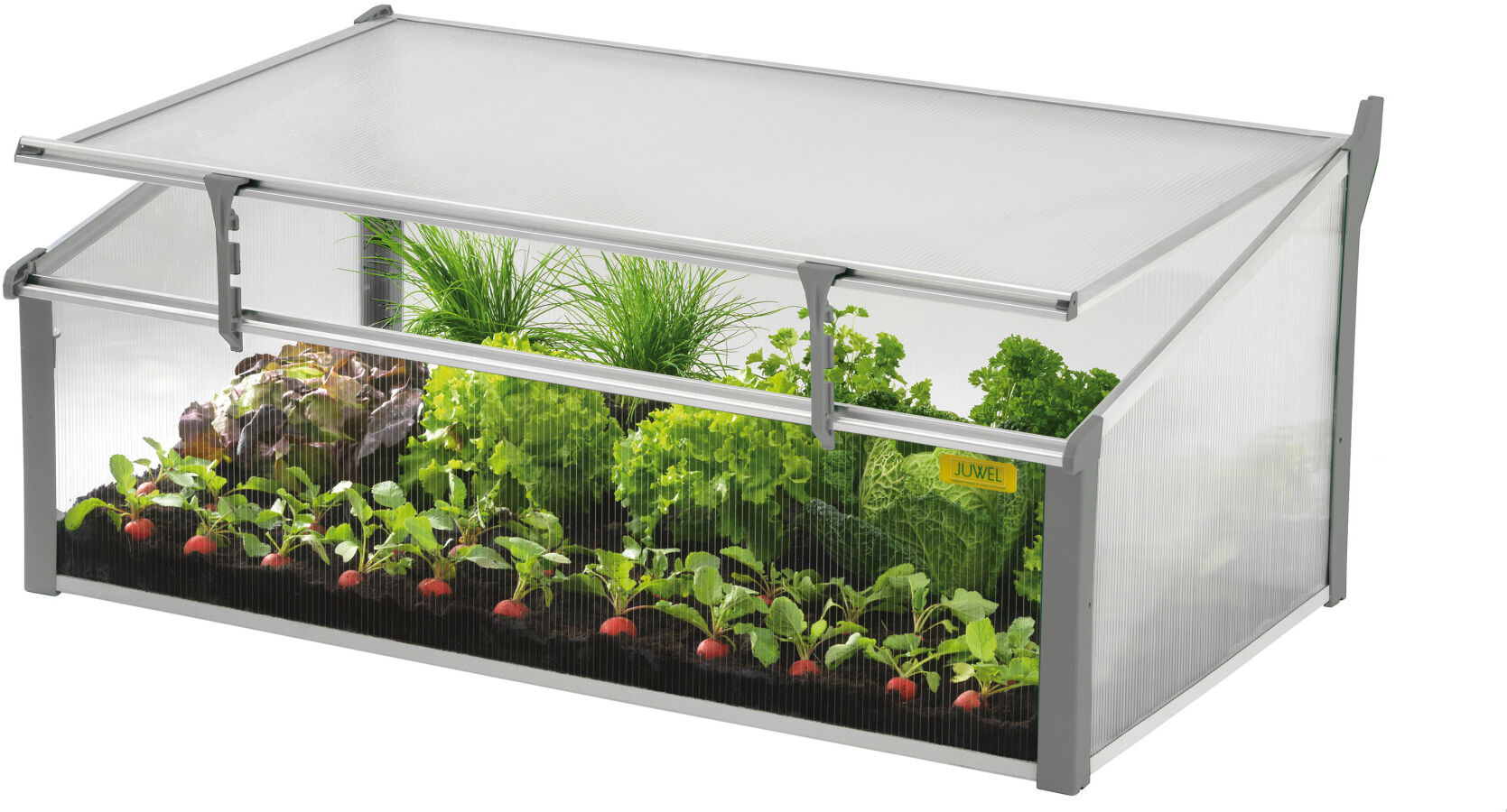 Juwel Frühbeet Easy Fix 100 x 60 cm