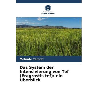 Das System der Intensivierung von Tef (Eragrostis tef): ein Überblick, Taschenbuch von Mebrate Tamrat, Verlag Unser Wissen, 978-620-5-29077-4
