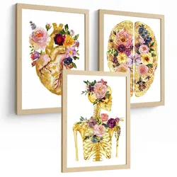 POSTER Set aus 3 Anatomie Mensch Drucke und Wandbilder mit Herz Gehirn und Skelett Goldenes Florales Design Größe Leichter Holzrahmen A3