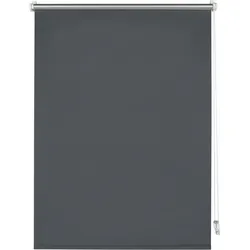 Seitenzugrollo GARDINIA "Thermo Klemmrollo Energiesparend", grau (anthrazit), B:70cm H:150cm, Polyester, Rollos, Seitenzugrollo, abdunkelnd mit Thermobeschichtung
