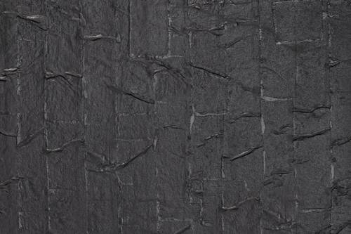 Auhagen 52245 H0, TT Dächer Schwarz (L x B) 200mm x 100mm