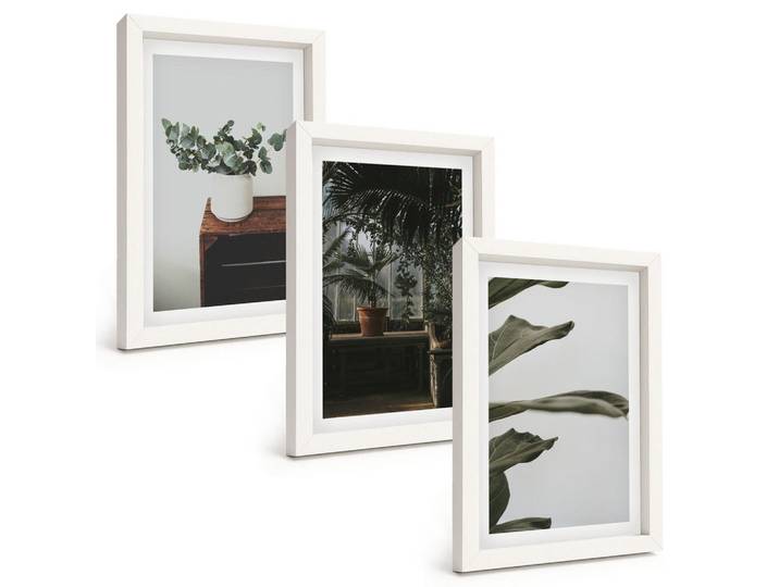 Tulup Bilder SET 3er Set - 20x30 cm Weißer Rahmen - Rustikale Topfpflanzen, Kunststoff, Rechteckig, 20x30 cm, Fotografie, Bilder & Rahmen, Bilder