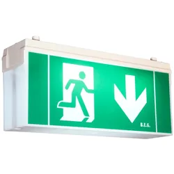 BEG Brück Electronic Rettungszeichenleuchte 2DN-H25/8/EVG