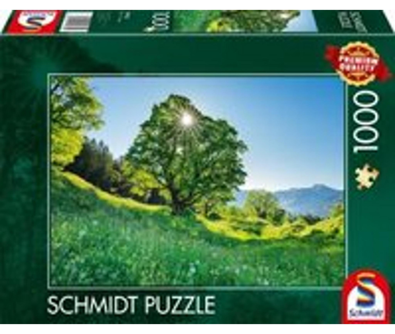 Schmidt Spiele 59761 met 12 rokken en jassen
