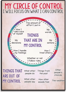 Inspire Curations Circle Of Control Mental Health Poster Social Worker Inspirational Canvas Print a 40x50cm No Frame