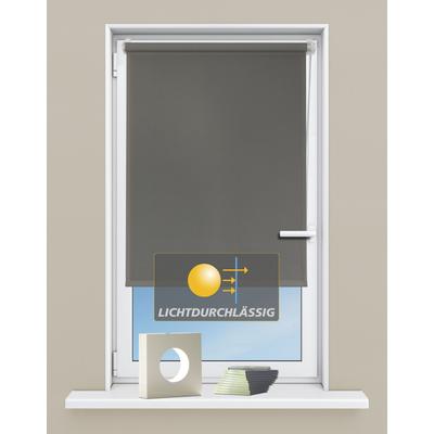 Kutti "Seitenzugrollo Ida, Lichtschutz, Klemmfix, ohne Bohren, Fixmaß" Lichtschutz ohne Bohren Sichtschutz, Sonnenschutz