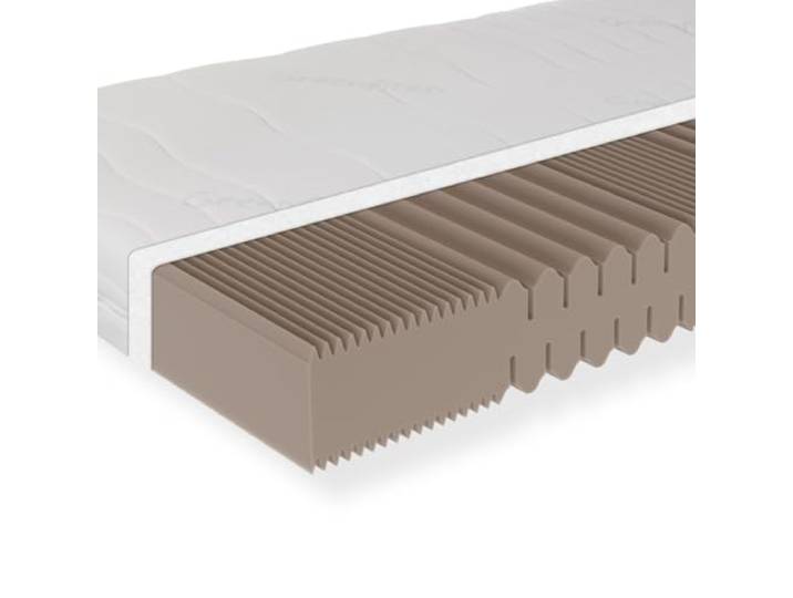 Sleepneo Active Greenfirst Matratze 160x200, Höhe 18cm Härtegrad H3, 7-Zonen-Kaltschaummatratze, Antibakterieller Active Greenfirst Bezug ideal für Allergiker, waschbar mit Reißverschluss