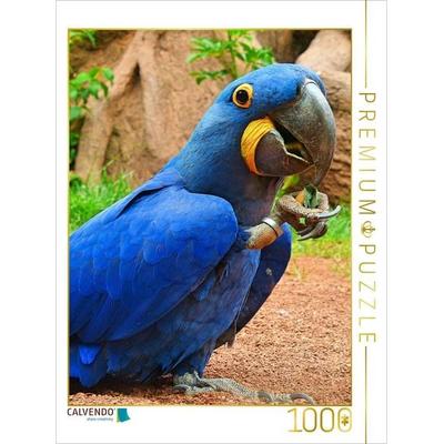 CALVENDO Puzzle Verspielter Hyazinth-Ara | 1000 Teile Lege-Größe 64x48cm Foto-Puzzle für glückliche Stunden