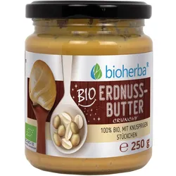 Bio Erdnussbutter Crunchy 100% Bio 250g
