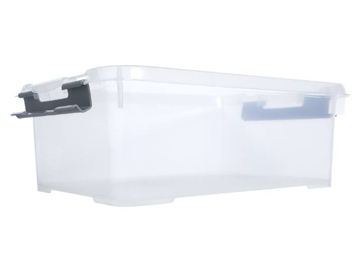 Curver Handy+ Box Transparent-Silber 40 × 29 × 15 cm 12 l