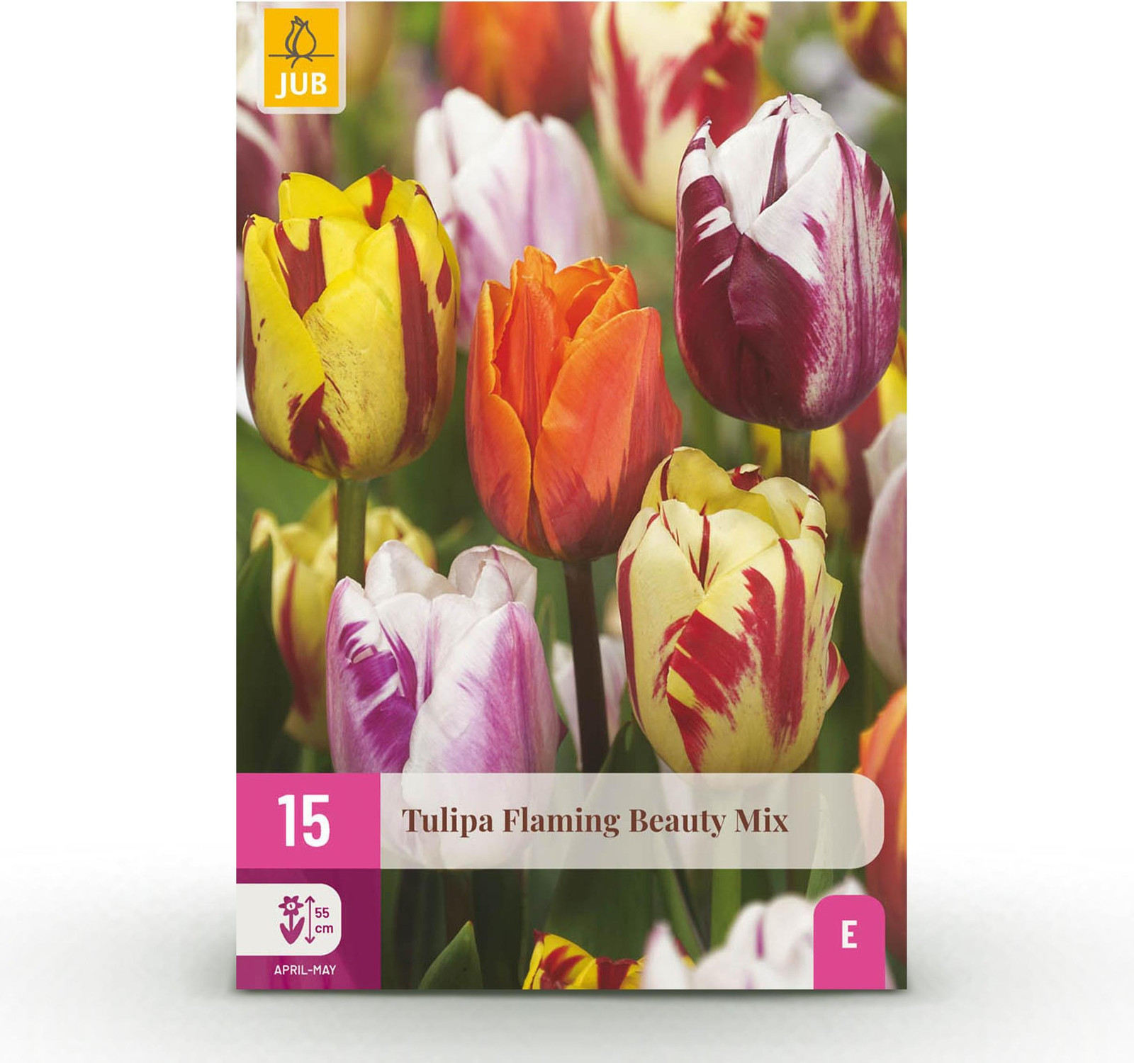 Bolmaat 11/12 Tulp Flaming Beauty mix - 15 stuks - Diversen Kleuren - Tuinplant