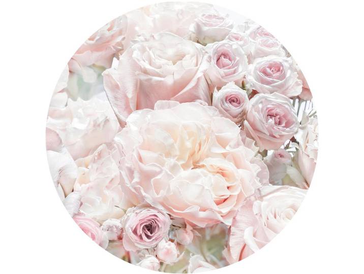 FOTOTAPETE D1-072 PINK AND CREAM ROSES