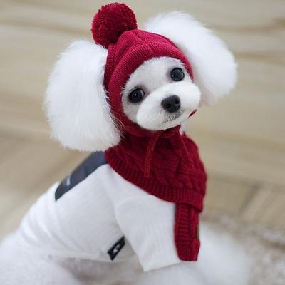 Hund Bandanas Hüte Hundeschal Welpenkleidung warm halten Winter Warm Hundebekleidung