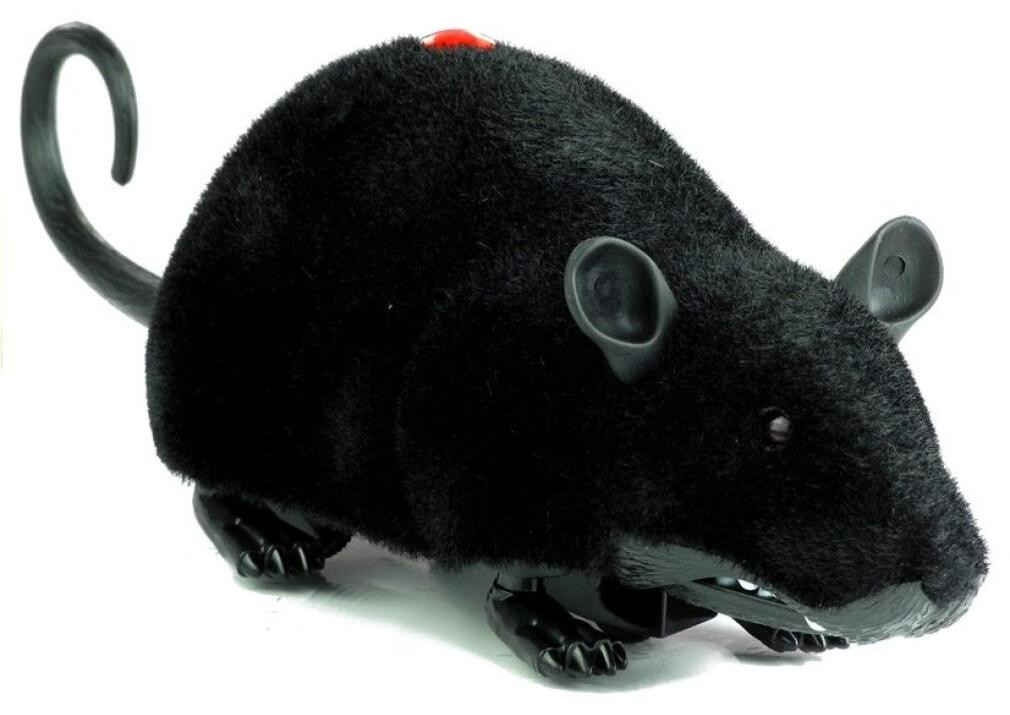 Lean Toys Grote RC Muis Speelgoedwielen Zwart