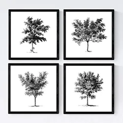 POSTER Set mit 4 Blättern der Bäume mittlerer weiß 20x20cm Rahmenlos
