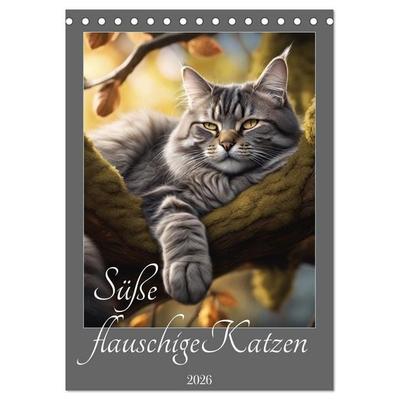 Süße flauschige Katzen (Tischkalender 2026 DIN A5 hoch), CALVENDO Monatskalender