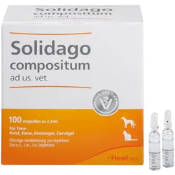 Solidago compositum ad us. vet. Ampullen 100 St Ampullen