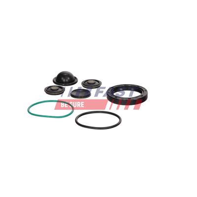 FAST Reparatursatz, Hochdruckpumpe FT04221 für GM