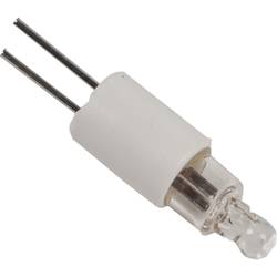 Schneider Electric ZB6YG095 Glimmlampe 5 St.