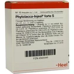 PHYTOLACCA INJEEL forte S Ampullen 10 St Ampullen