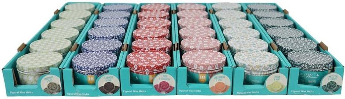 The Pioneer Woman Waxmelts Herb Garden 10 stuks