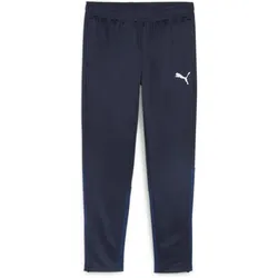 Puma, Herren, Sporthose, teamGOAL Training Pant (3XL), Blau