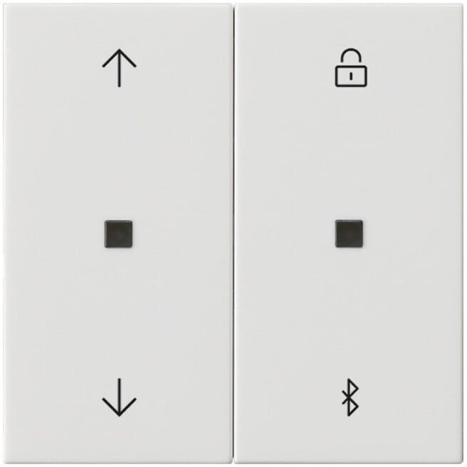 Gira Jalousie- + Schaltuhr Bluetooth Sys.55 rws 536703)