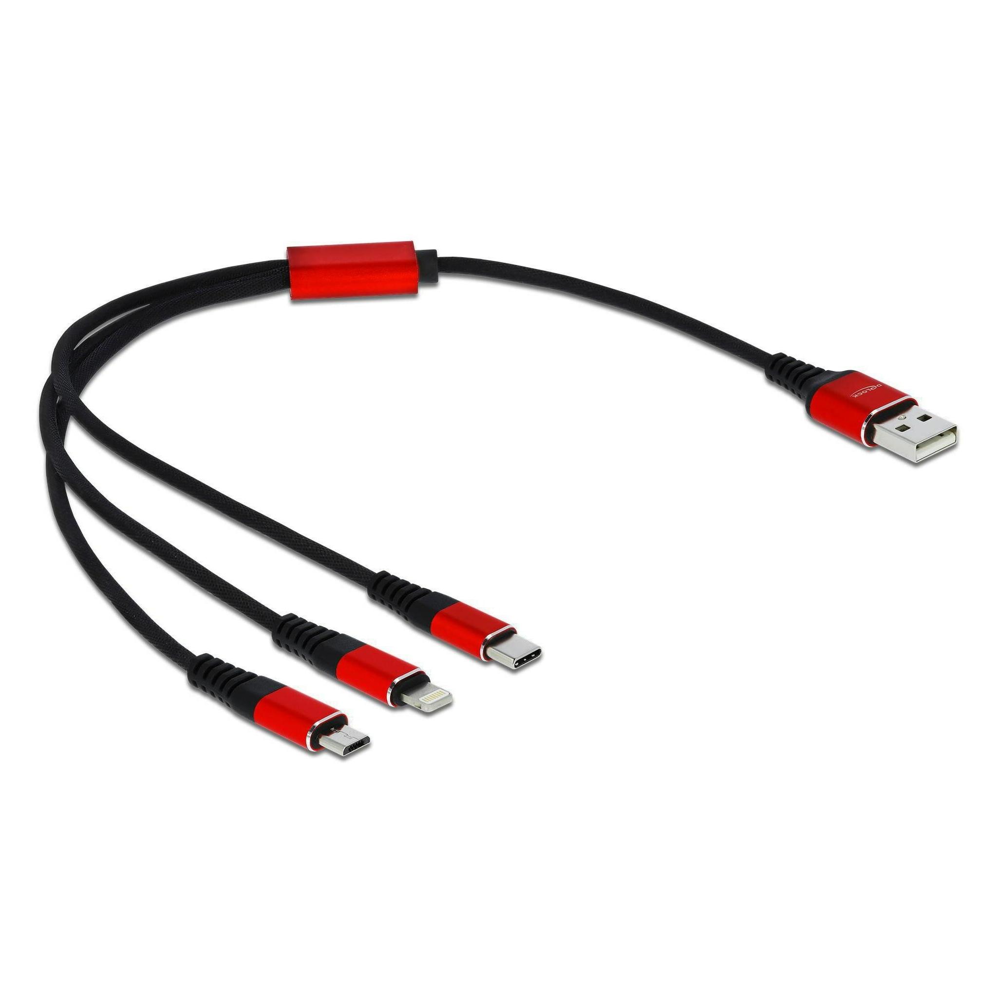 Delock 3in1 USB Kabel (0.30 m, USB 2.0, 5 W) (85891)