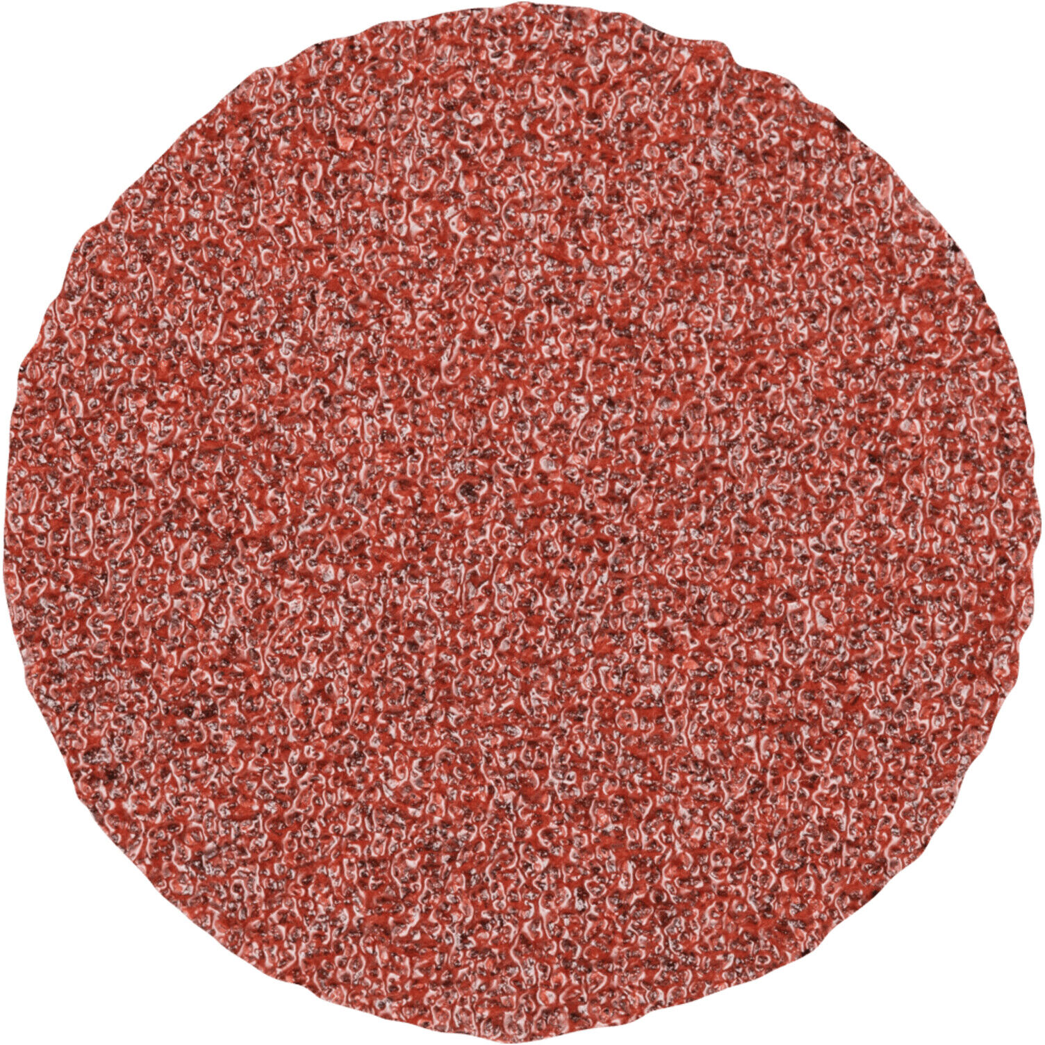 Pferd COMBIDISC Schleifblatt Korund 25mm K80 (42750308)