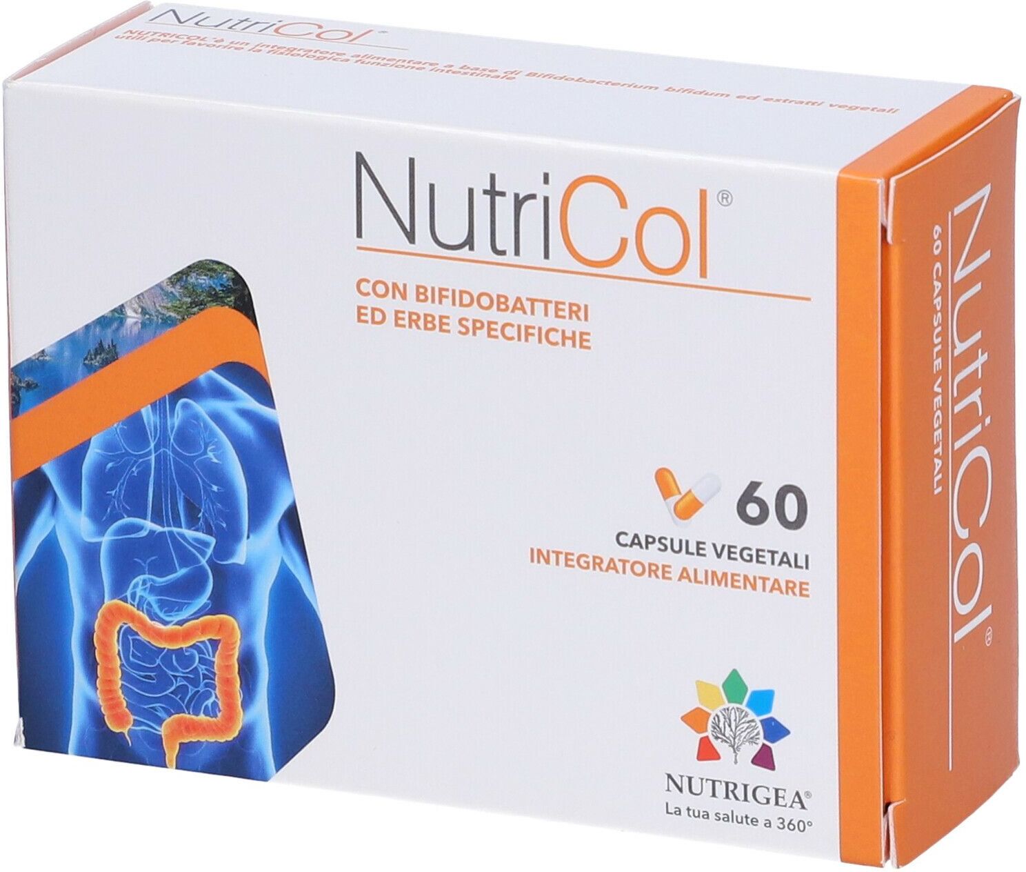NUTRIGEA Srl Nutrigea NutriCol 60 Capsule Vegetali – Integratore per la Funzione Intestinale