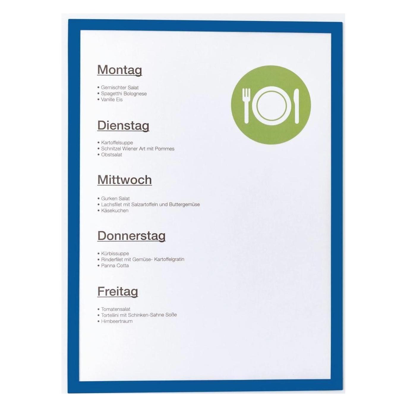 Magnetoplan Magnetofix (1130303)