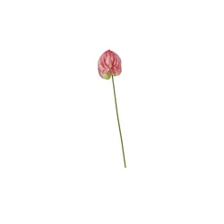 Kunstblume Anthurium   ¦ rosa/pink ¦ Kunststoff ¦ Maße (cm): H: 67  Ø: 14.0
