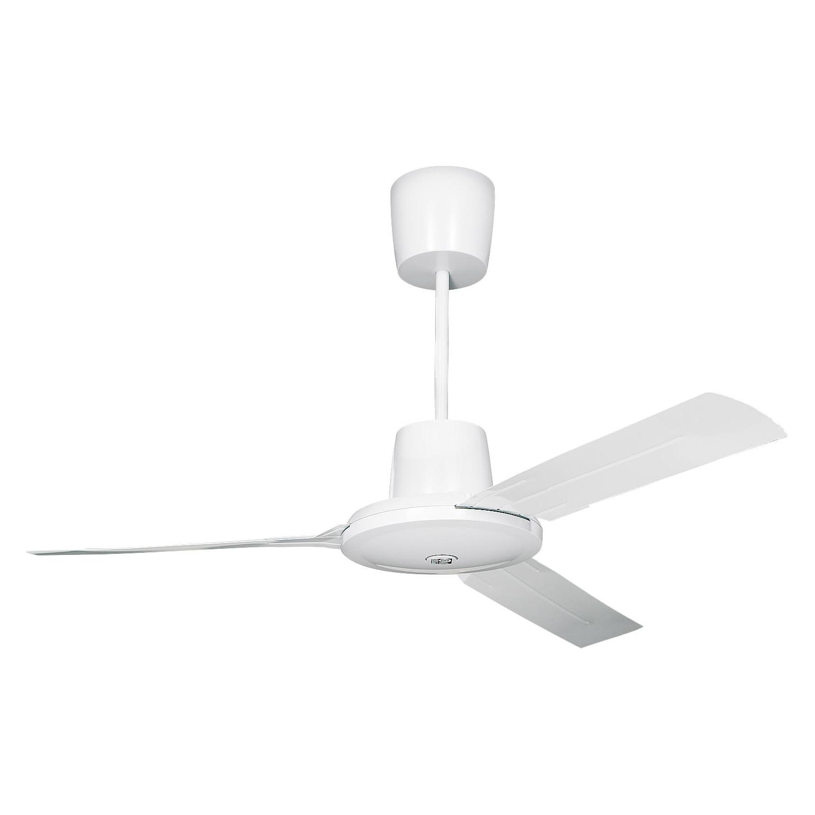 Vortice Evolution (49.10 dB) (61751)