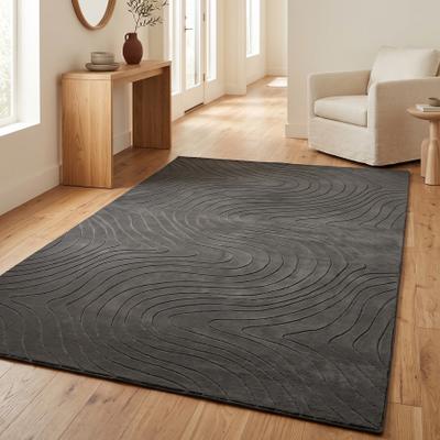ECARPETGALLERY Somos Modern Machine Washable Area Rug