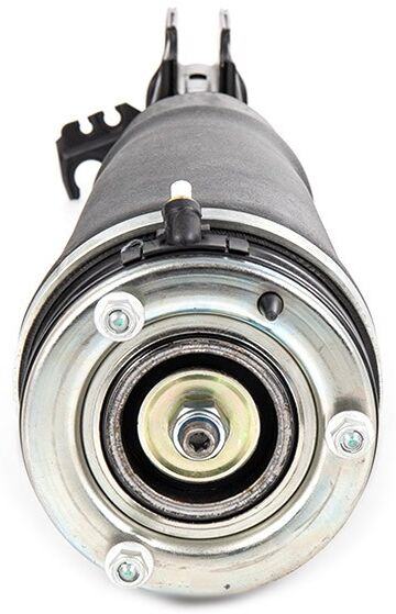 RIDEX 4118A0071 Air suspension strut