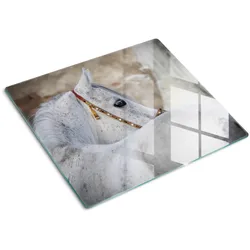 GLASPLATTE 60x52 cm Arabisches Pferd