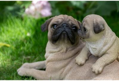 Hi-Line Gift Mother & Baby Pugs - Ultra Realistic Garden Statue
