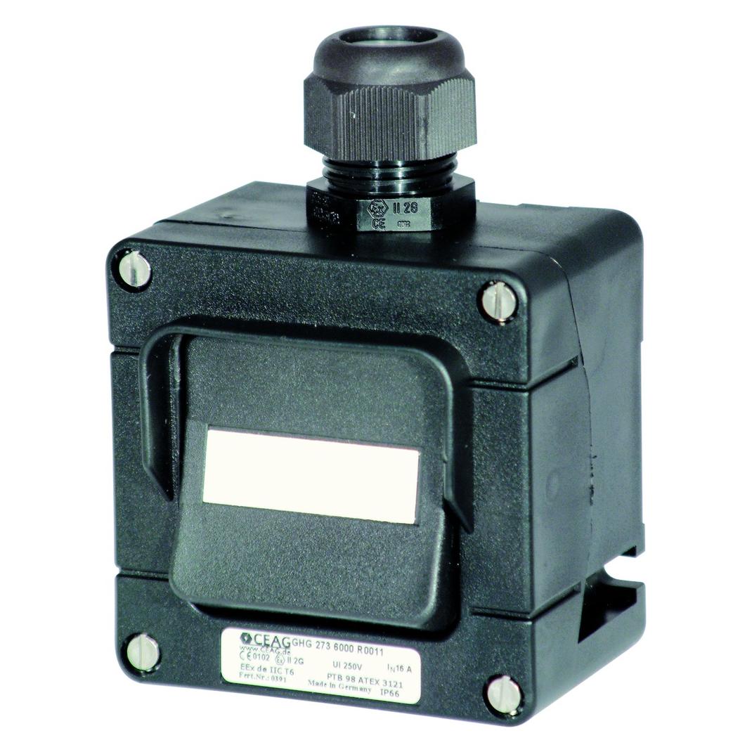 Ceag Wechselschalter (GHG2736000R0011)
