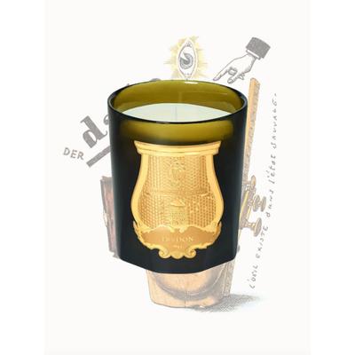 Dada 270g würzig von Cire Trudon