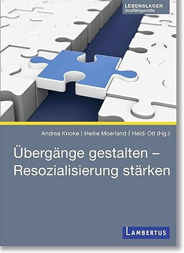 Andrea Knoke - Übergänge gestalten – Resozialisierung stärken: Beiträge aus der Straffälligenhilfe - Preis vom 09.10.2026 07:28:09 h
