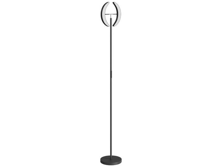 Homcom Led-Stehlampe mit 350° drehbarer Doppelkopf & Fernbedienung, Schwarz, Metall, LED integriert, 30x188x30 cm, Lampen & Leuchten, Innenbeleuchtung, Stehlampen