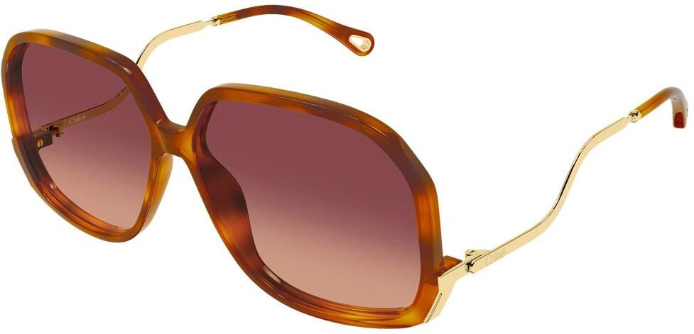 Chloé  - CH0404S 001 Havana - Lunettes de soleil