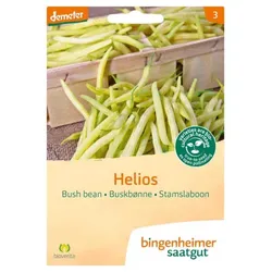 Bingenheimer Saatgut Buschbohne Helios demeter