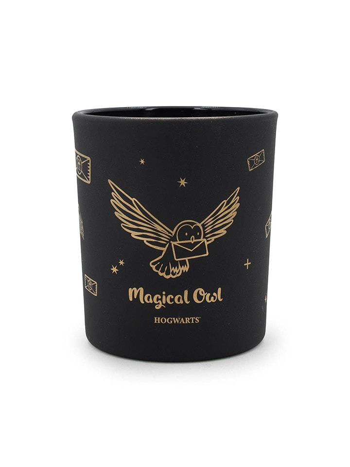 Duftkerze "Harry Potter Magical Owl" in Schwarz - 135 g - onesize