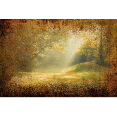 Fototapete PAPERMOON "Waldlichtung", bunt, B:5m L:2,8m, Vlies, Tapeten
