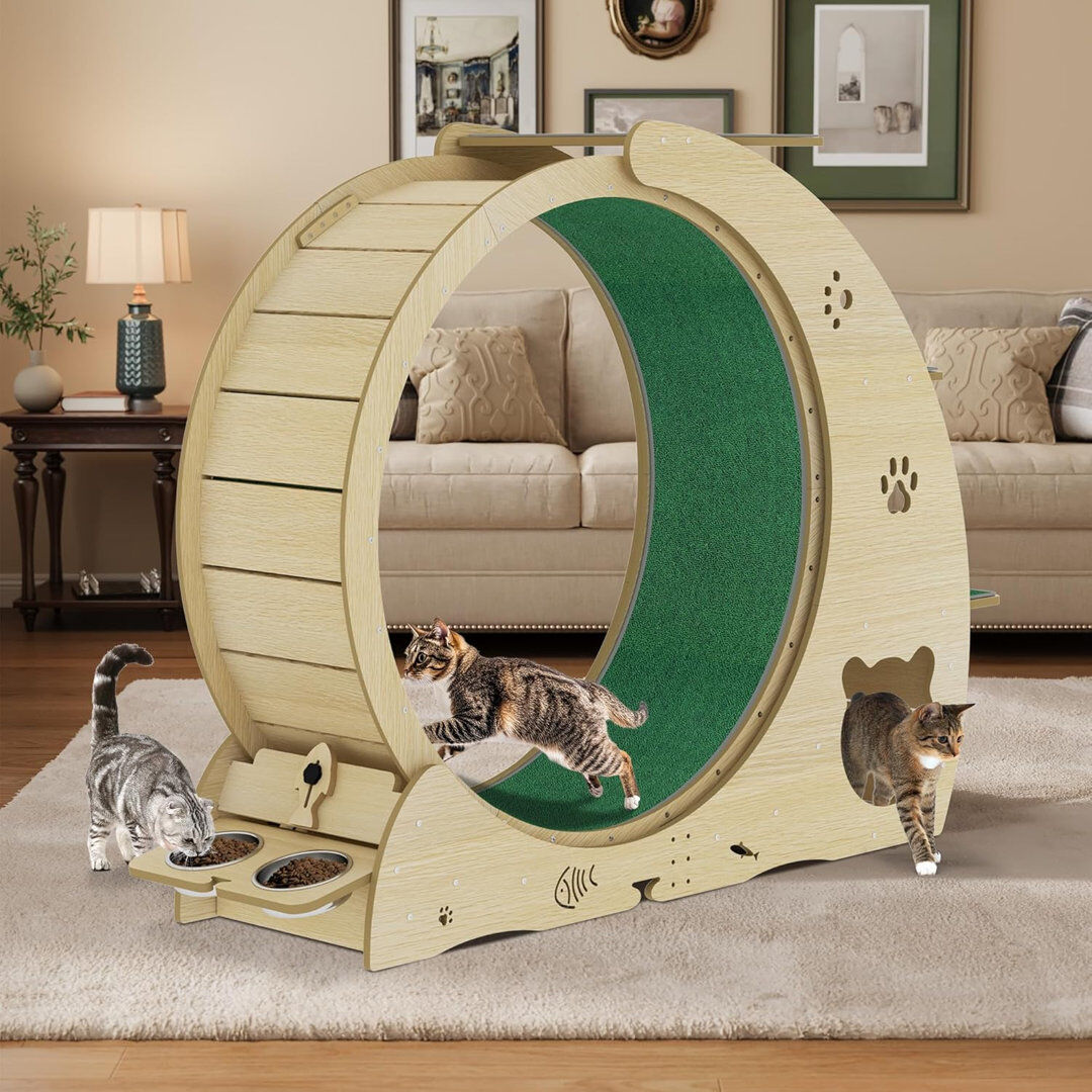 Blue Elephant 4-in-1 Indoor Cat Running Wheel, Large Quiet Running Wheel with Scratch Pad, Play Roller & Stable Wood Base for Active Cats Tan 102.9cm H X 140cm W X 36.8cm D