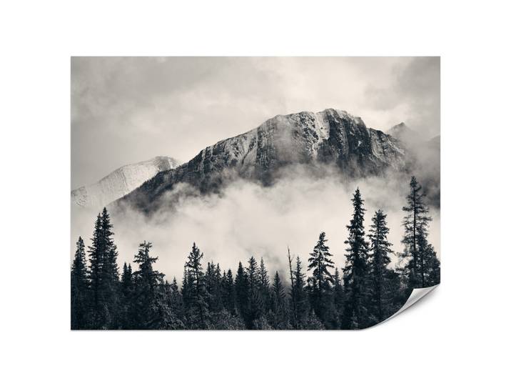 FOTOTAPETE für Wohnzimmer Nadelwald im Nebel im Hintergrund Berge 200x140