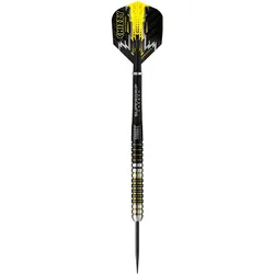 Harrows Dave Chisnall (23 g)